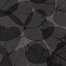 Натуральные обои с покрытием из листьев Cosca Platinum Прима Ахумадо 0,91x10